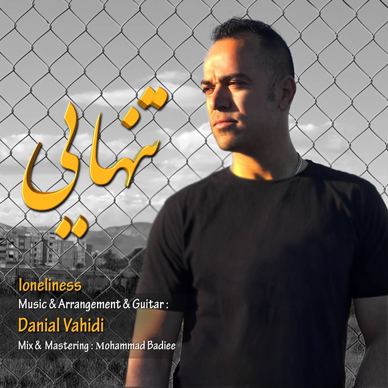 دانلود آهنگ دانیال وحیدی تنهایی ( بیکلام )